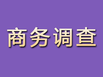 梁山商务调查